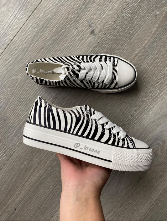 All star cebra